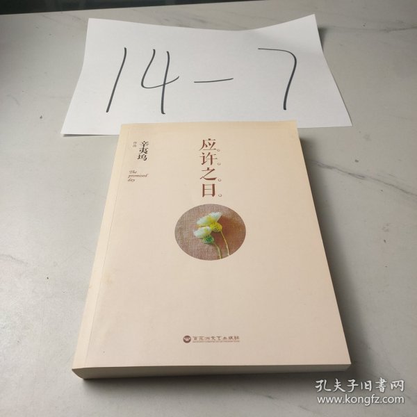 应许之日