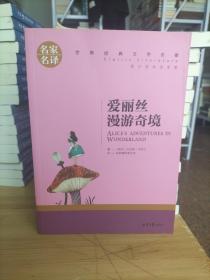 爱丽丝漫游奇境 中小学生课外阅读书籍世界经典文学名著青少年儿童文学读物故事书名家名译原汁原味读原著