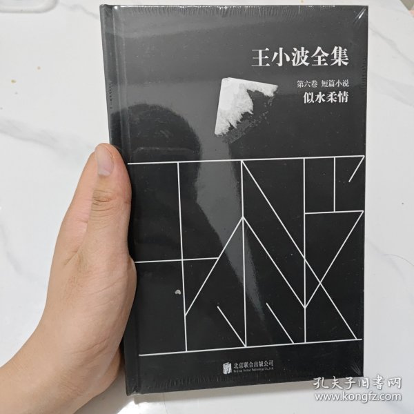 王小波全集（第六卷 短篇小说）：似水柔情