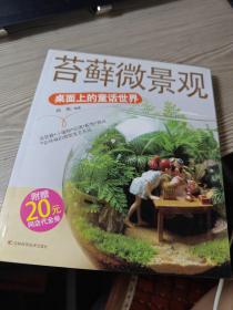 苔藓微景观：桌面上的童话世界