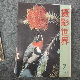 摄影世界杂志1982共11本（缺4）