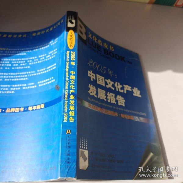 2005年：中国文化产业发展报告