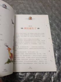 小鹿斑比 国际大奖儿童文学