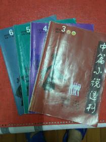 中篇小说选刊   2010年 3、4、5 、6期