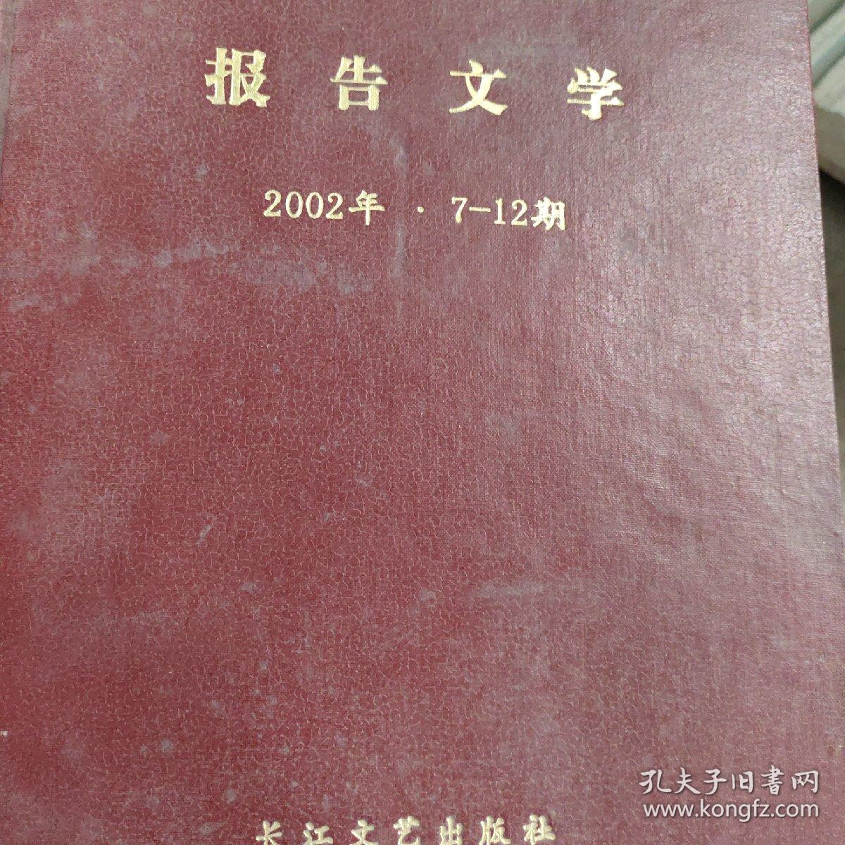 报告文学2002年合订本