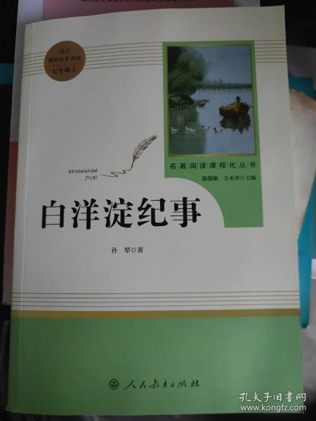 白洋淀纪事 名著阅读课程化丛书（统编语文教材配套阅读）七年级上