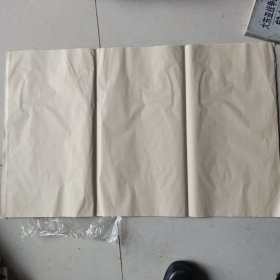 竹纸（自辩）68×48x40