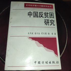 中国反贫困研究