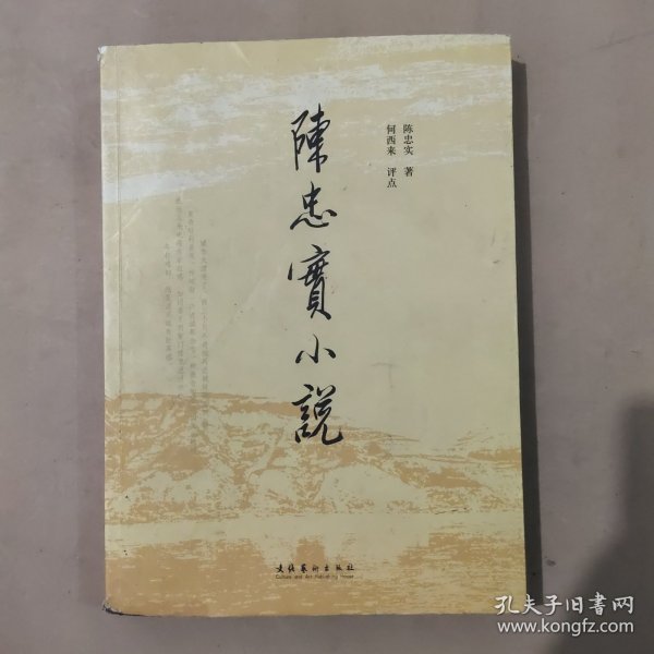 陈忠实小说