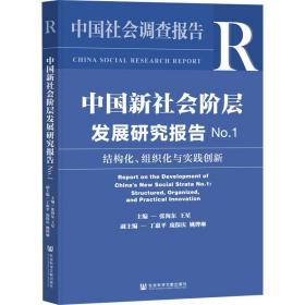 中国新社会阶层发展研究报告  结构化、组织化与实践创新 社会科学总论、学术 作者 新华正版