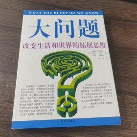 大问题──改变生活和世界的拓展思维：改变生活和世界的拓展思维