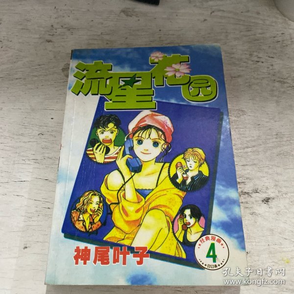 流星花园