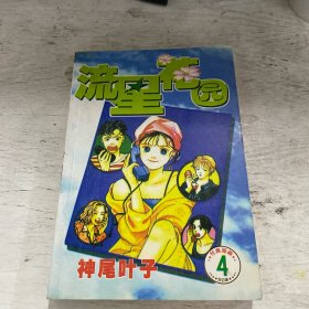 流星花园