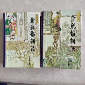 金瓶梅词话（上下）全（了解中国的过去看《红楼梦》。了解世界的未来看《三体》，了解中国的当下看《金瓶梅》）