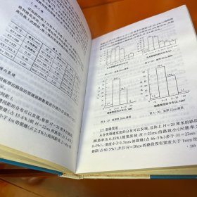 高等水泥混凝土路面设计理论与方法