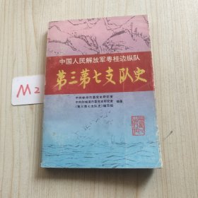 第三第七支队史