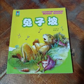 最小孩童书·时光经典系列:兔子坡.