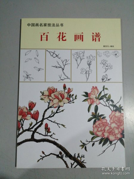 百花画谱：画出最美的东方工笔花卉