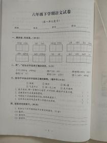 小学语文强化拓展卷六年级下册(提优版)