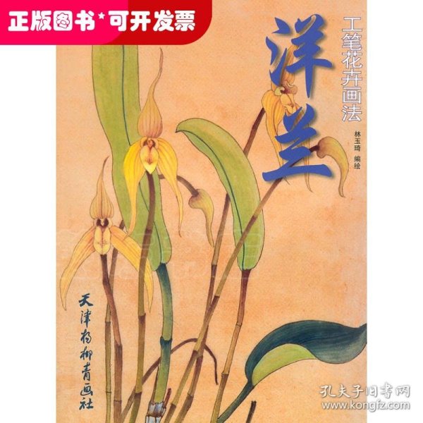 洋兰工笔花卉画法