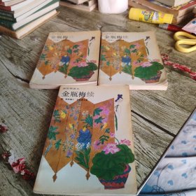《金瓶梅续》三本全套