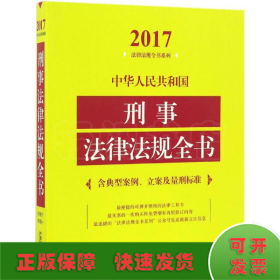 中华人民共和国刑事法律法规全书（含典型案例、立案及量刑标准）（2017年版）