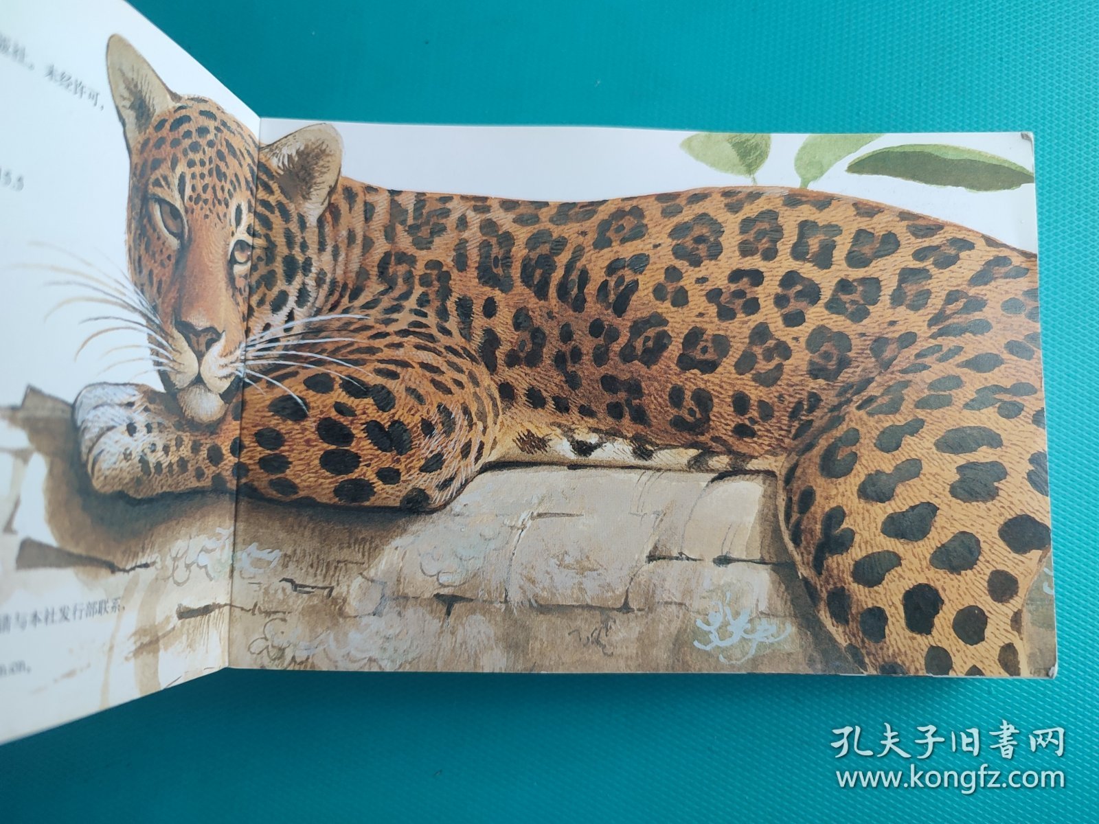 口袋图书馆 ：危险动物