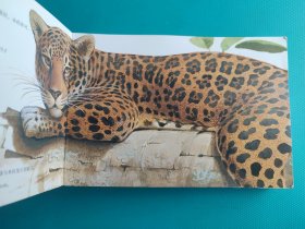 口袋图书馆 :危险动物