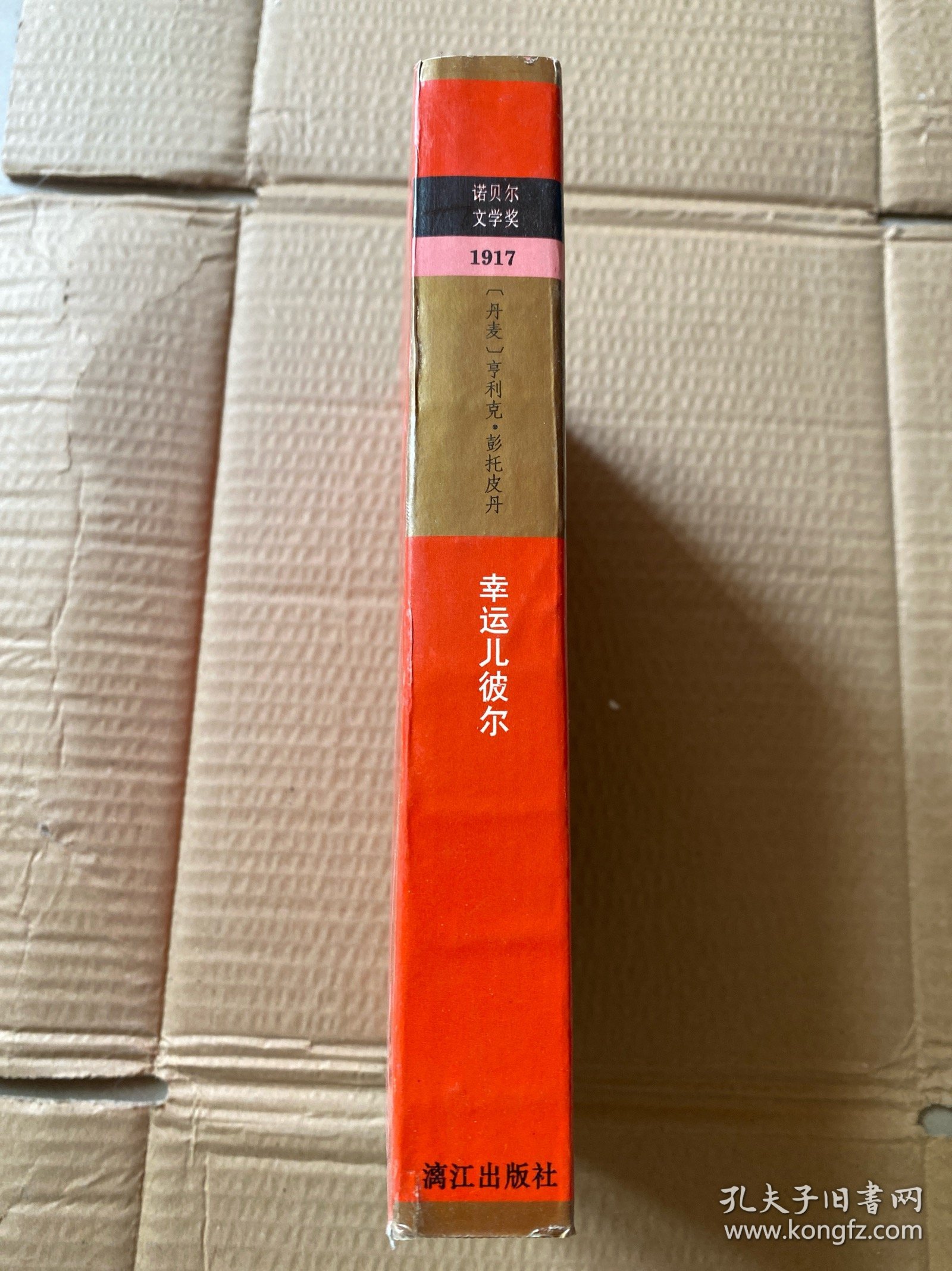 幸运儿彼尔（获诺贝尔文学奖作家丛书）