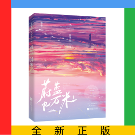 蔚藍(lán)九萬米簽名本飛機盒