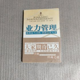 业力管理：善用业力法则 创造富足人生（未拆塑封）