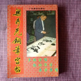梁鼎光钢笔字帖 ( 多体字帖 教你写字 易学易懂)