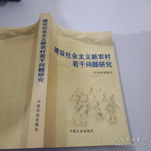 建设社会主义新农村若干问题研究