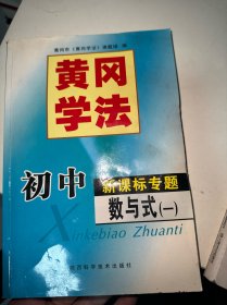 初中新课标专题  数与式  一（侧面有污渍水印）