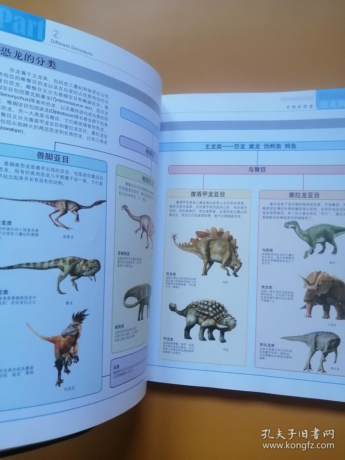 点击查看原图 探秘天下:恐龙王国大发现