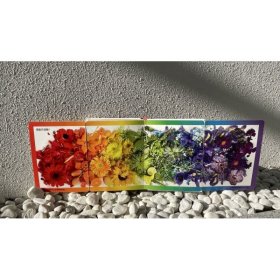 颜色之间：用花朵捕捉彩虹的色彩 9787555030546