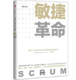 敏捷革命:提升个人创造力与企业效率的全新协作模式