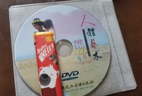 人体艺术 花样年华 DVD VCD