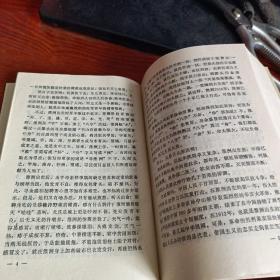 寻淮洲将军传