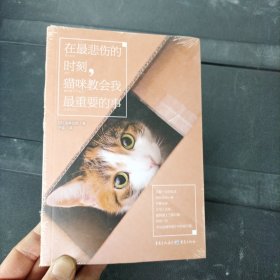 在最悲伤的时刻，猫咪教会我最重要的事