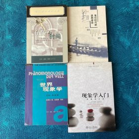 现象学入门，世界现象学，存在与时间，论精神：海德格尔与问题，存在的一代：海德格尔哲学在法国，世纪人类思想家文库：海德格尔选集（上下），海德格尔，海德格尔的《存在与时间》，海德格尔、艺术与政治，现象学及其效应：胡塞尔与当代德国哲学，我们时代的思想姿态，面对实事本身：现象学经典文选（13册合售，附赠胡塞尔《哲学作为严格的科学》）