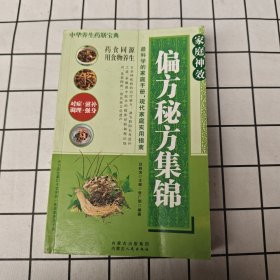 中华养生药膳宝典 偏方秘方集锦