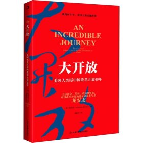 大开放 美国人亲历中国改革开放40年 龙安志 9787515823997 中华工商联合出版社 2018-10-01 普通图书/经济