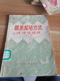 大跃进书籍•蔬菜栽培方法大葱、分葱、大蒜、韭菜、洋葱 第二集  1956年一版二印