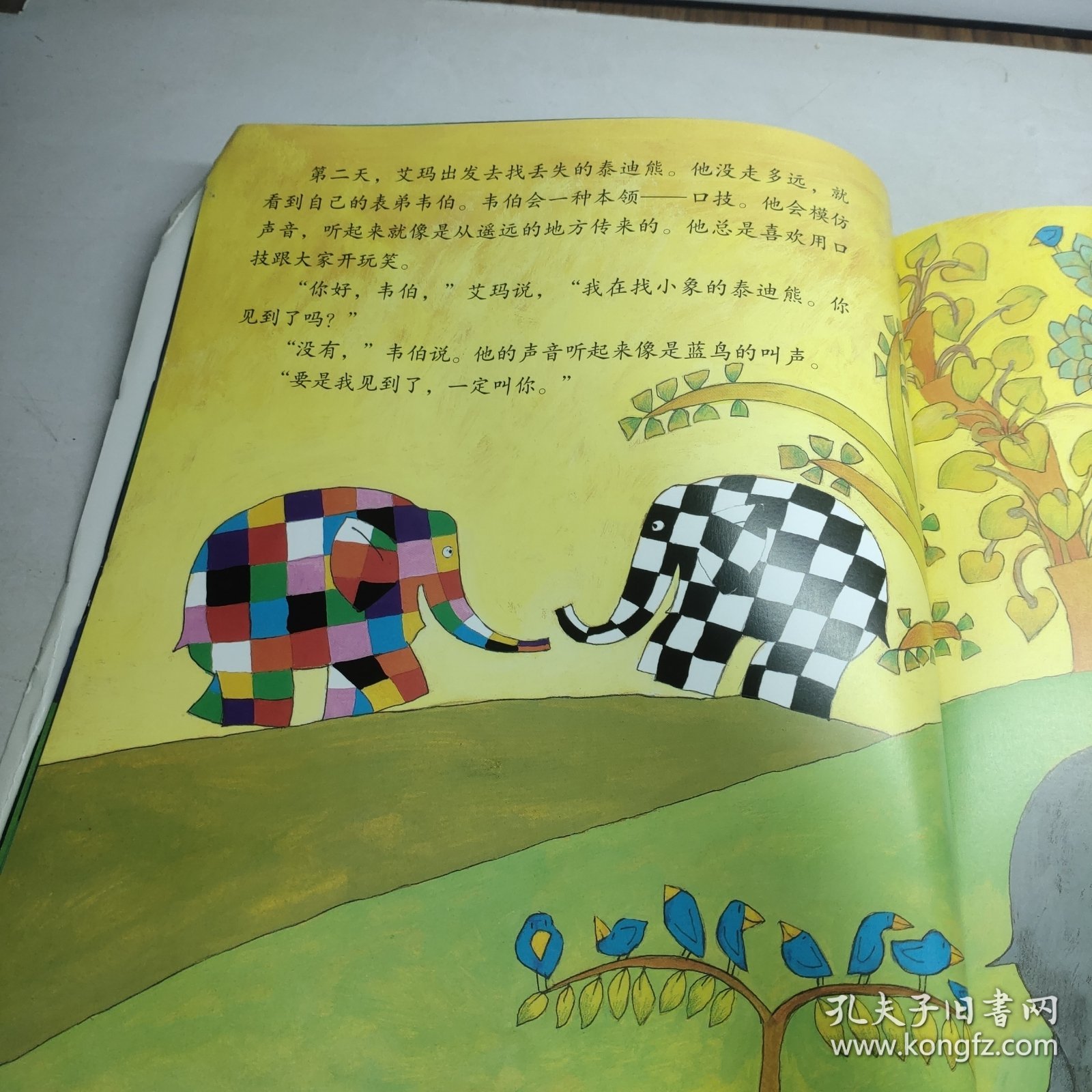 艾玛和丢失的泰迪熊