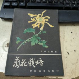 菊花栽培