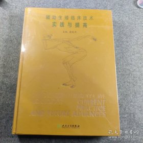 辅助生殖临床技术——实践与提高