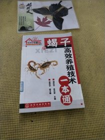 蝎子高效养殖技术一本通