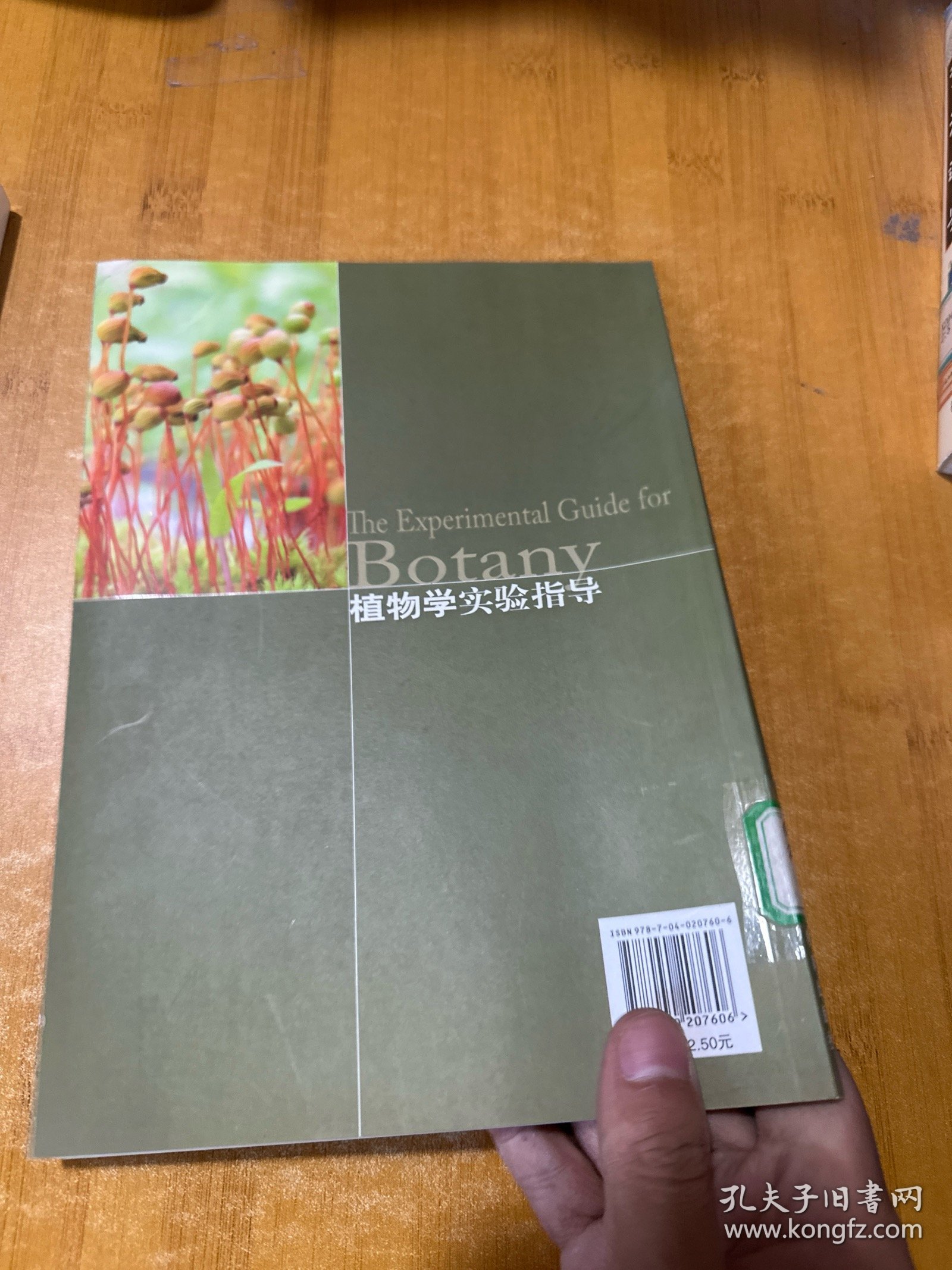植物学实验指导