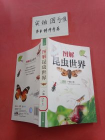圖解昆蟲世界